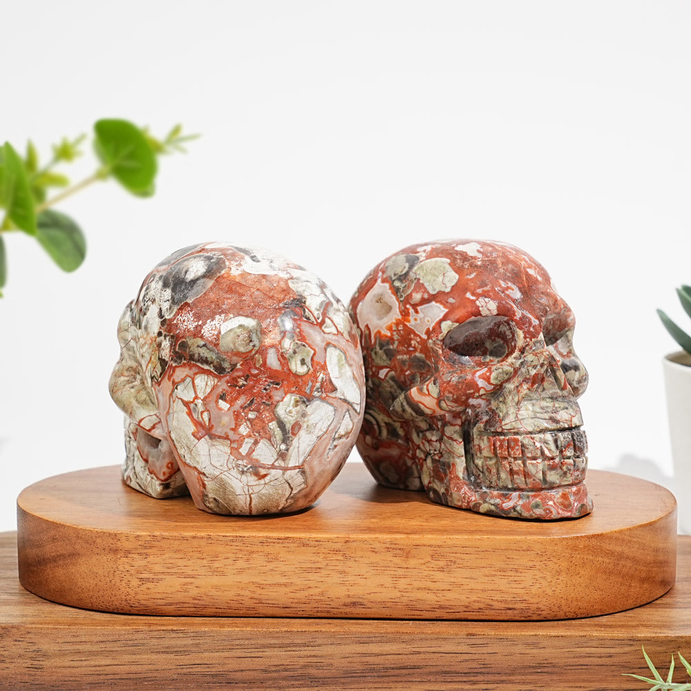 Unique,Natural Money Agate Skull Carving