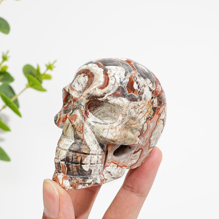 Unique,Natural Money Agate Skull Carving