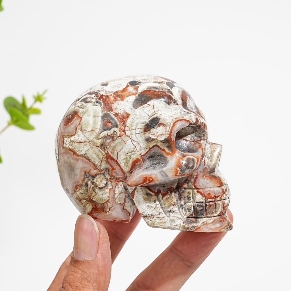 Unique,Natural Money Agate Skull Carving