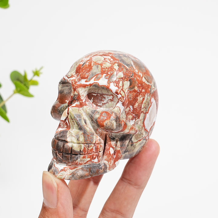 Unique,Natural Money Agate Skull Carving