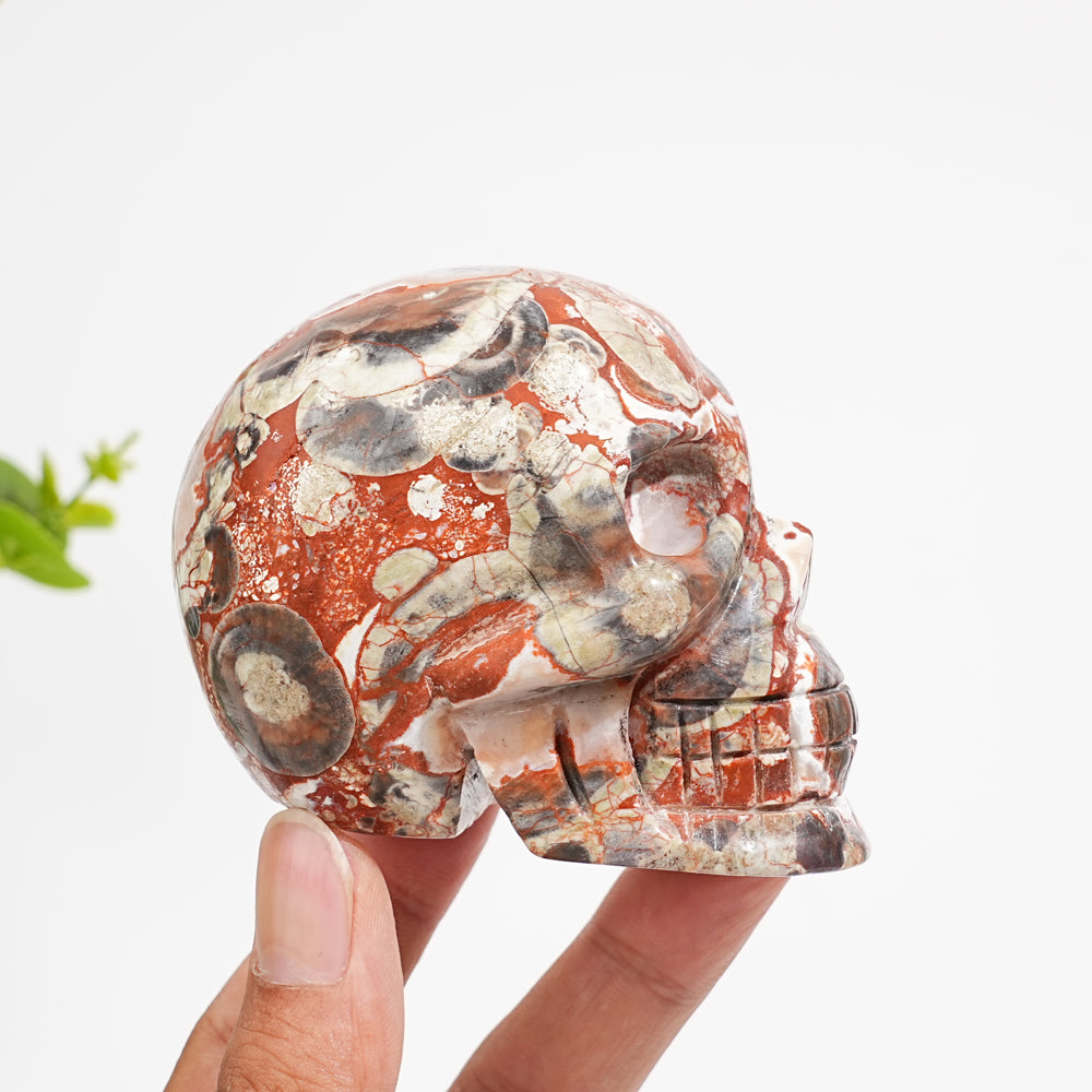 Unique,Natural Money Agate Skull Carving