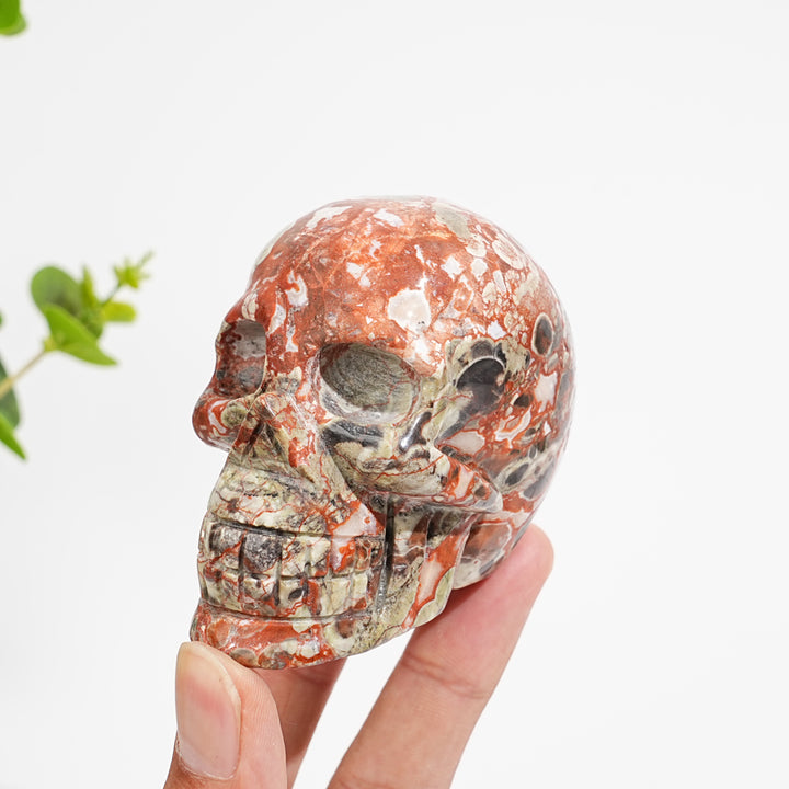 Unique,Natural Money Agate Skull Carving