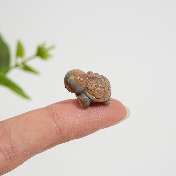 Natural Crystal Alashan Agate Money Turtle