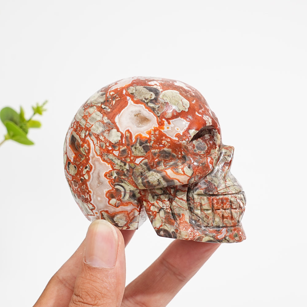 Unique,Natural Money Agate Skull Carving