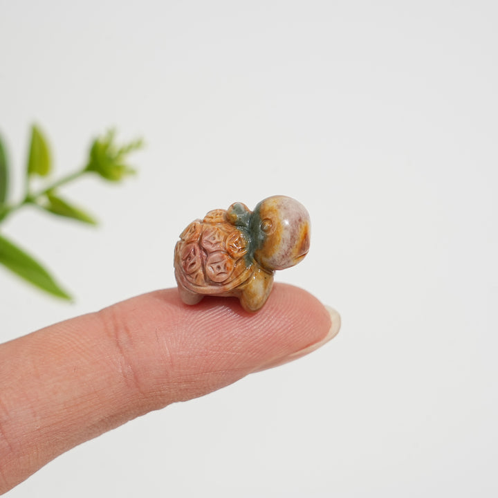 Natural Crystal Alashan Agate Money Turtle