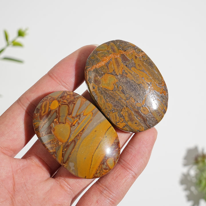 Natural Crystal Bamboo Leaf Stone Palmstone