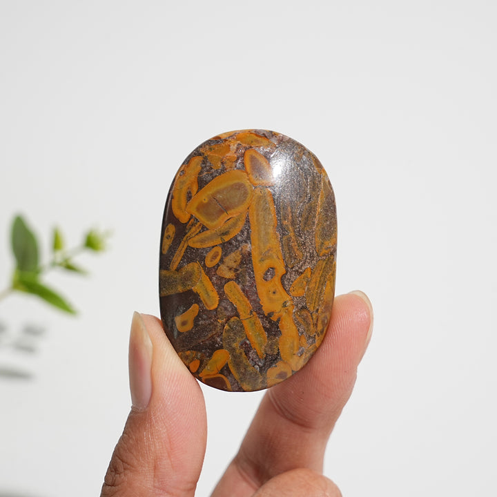 Natural Crystal Bamboo Leaf Stone Palmstone