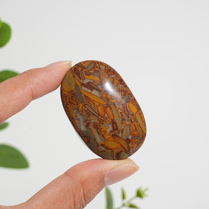 Natural Crystal Bamboo Leaf Stone Palmstone