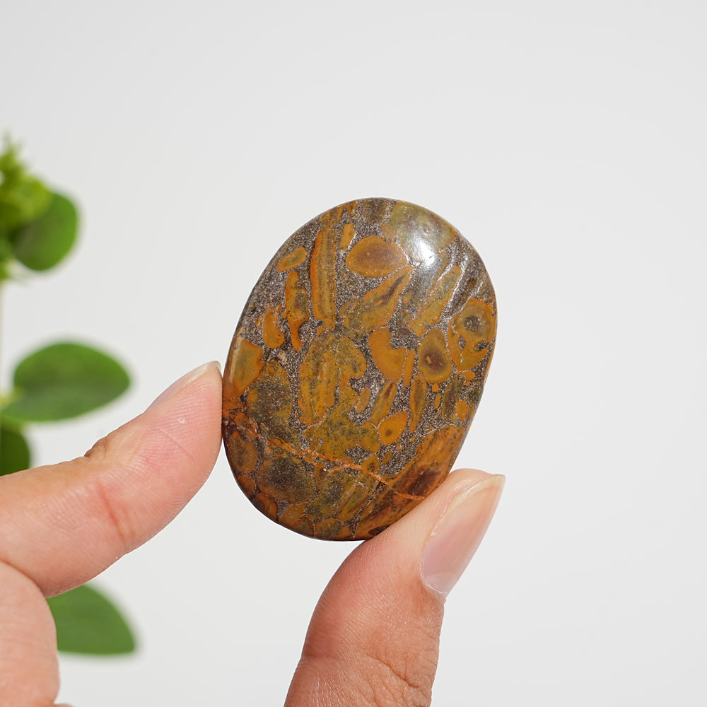 Natural Crystal Bamboo Leaf Stone Palmstone