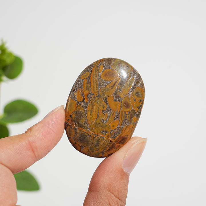 Natural Crystal Bamboo Leaf Stone Palmstone
