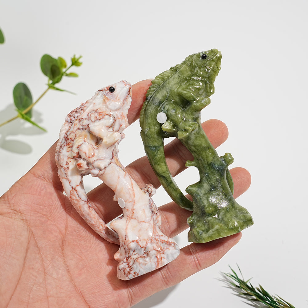 A Slightly Imperfect Natural Crystal Lizard On Branch