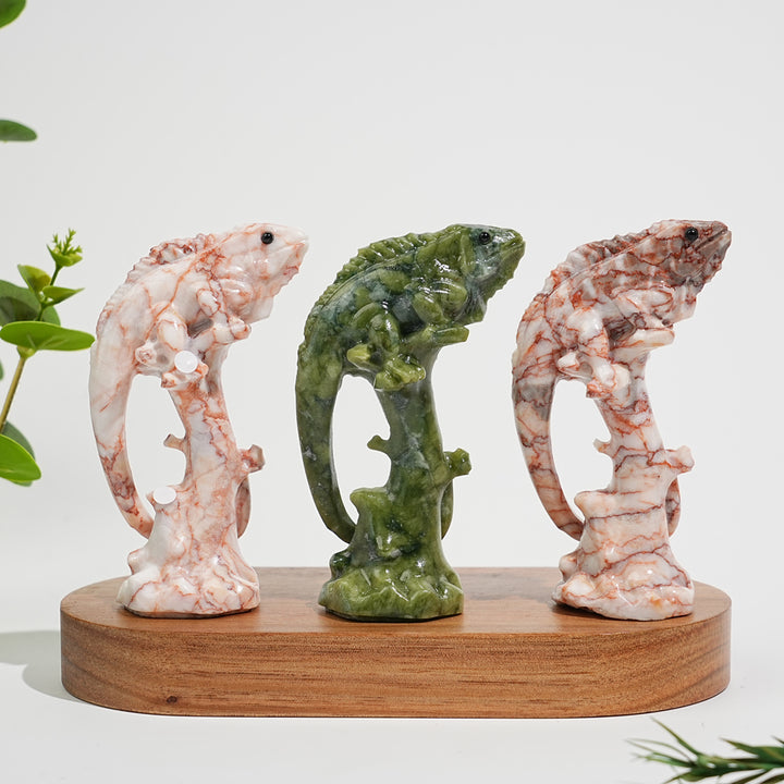 A Slightly Imperfect Natural Crystal Lizard On Branch