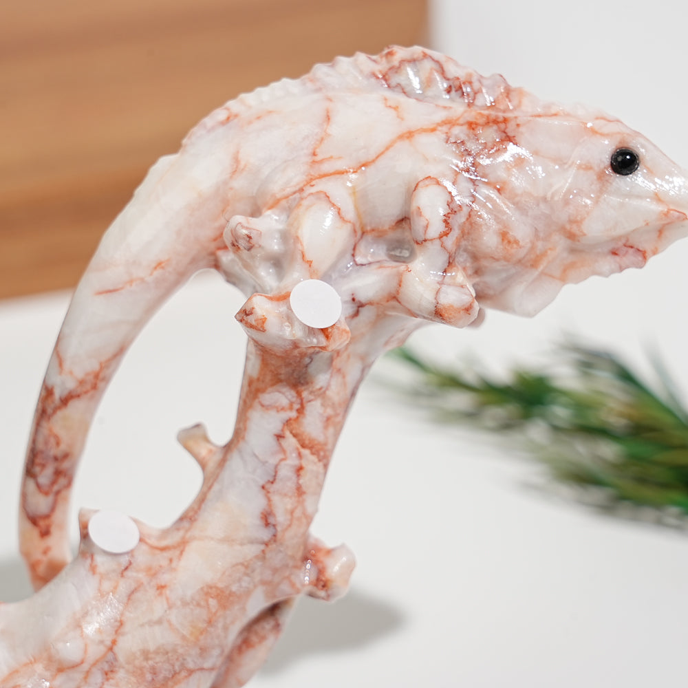 A Slightly Imperfect Natural Crystal Lizard On Branch