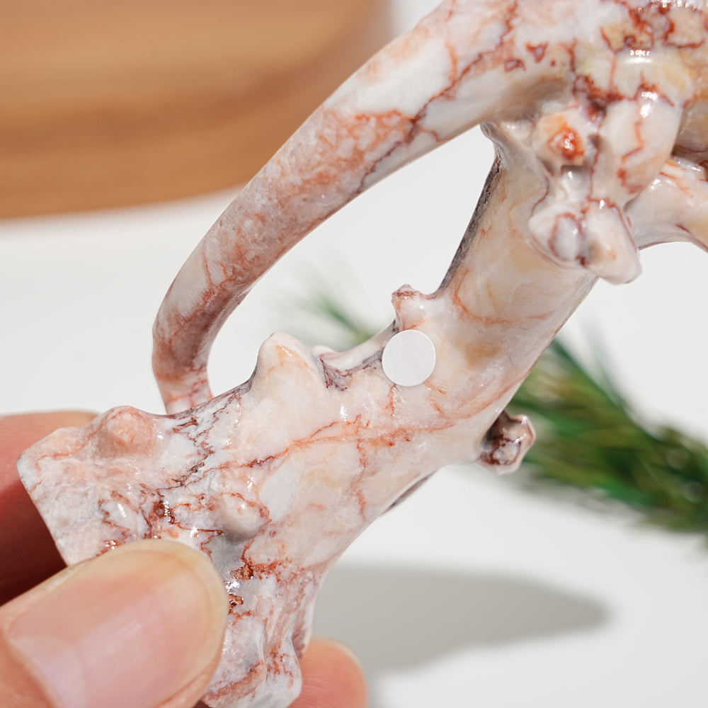 A Slightly Imperfect Natural Crystal Lizard On Branch