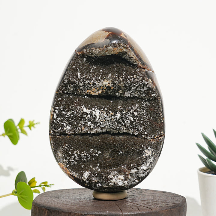 Unique,Natural Crystal Septarian Egg