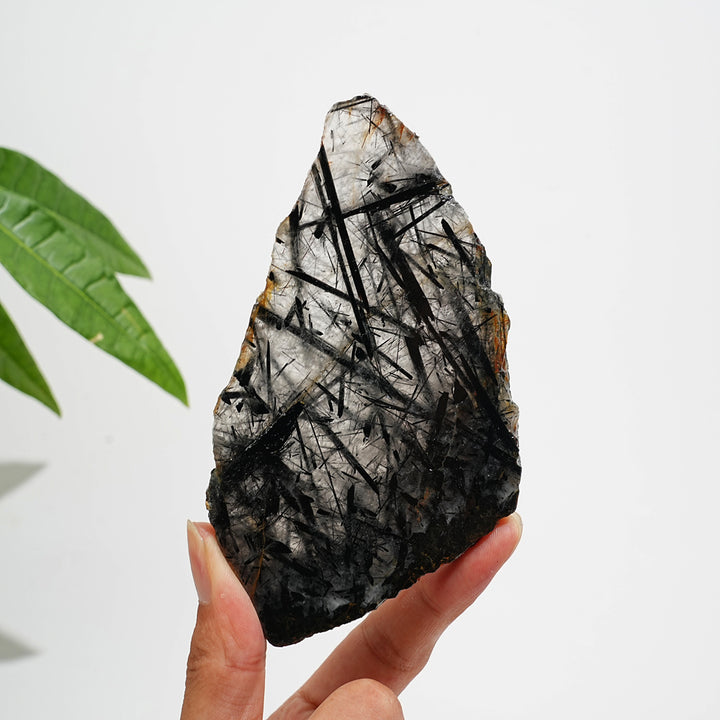 Unique,Natural Crystal Black Tourmaline In Quartz Slice