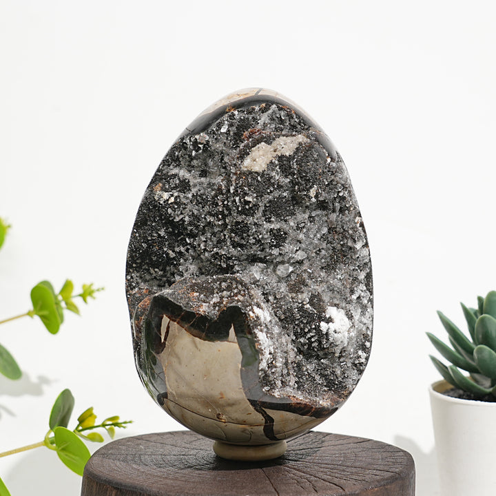 Unique,Natural Crystal Septarian Egg