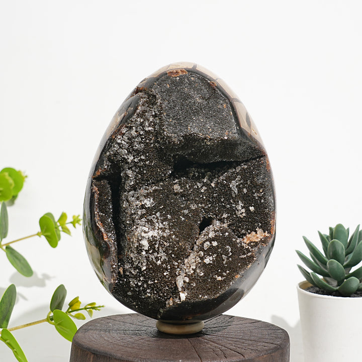 Unique,Natural Crystal Septarian Egg
