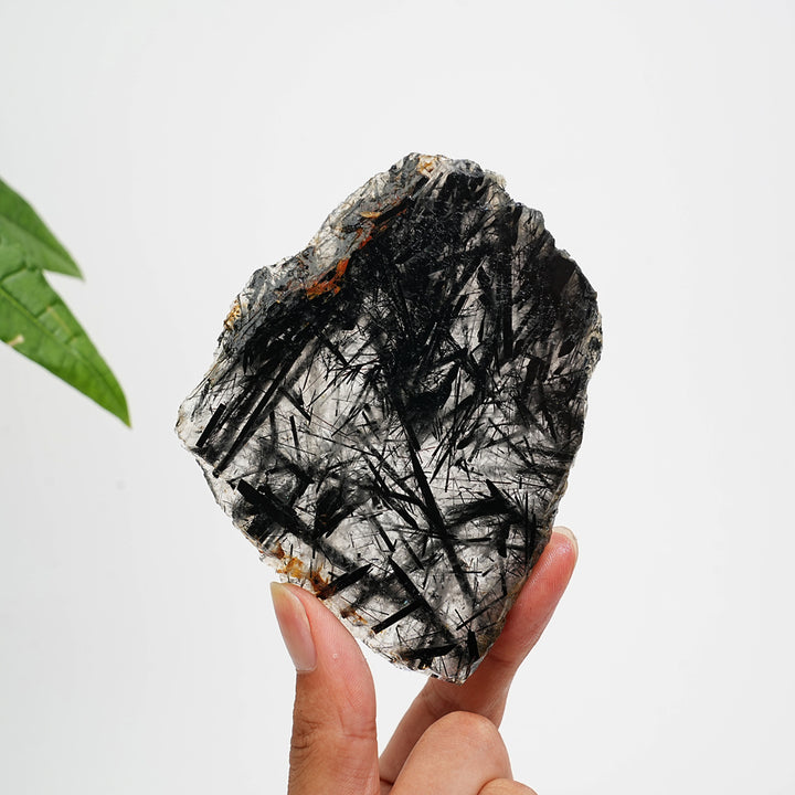 Unique,Natural Crystal Black Tourmaline In Quartz Slice