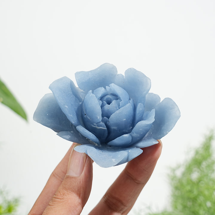 Único, tallado de flor de peonía de angelita de cristal natural