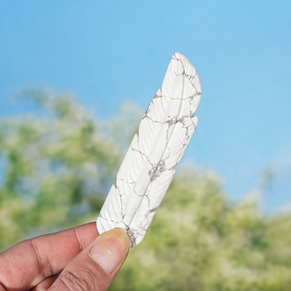 Natural Crystal Carved Howlite Feather