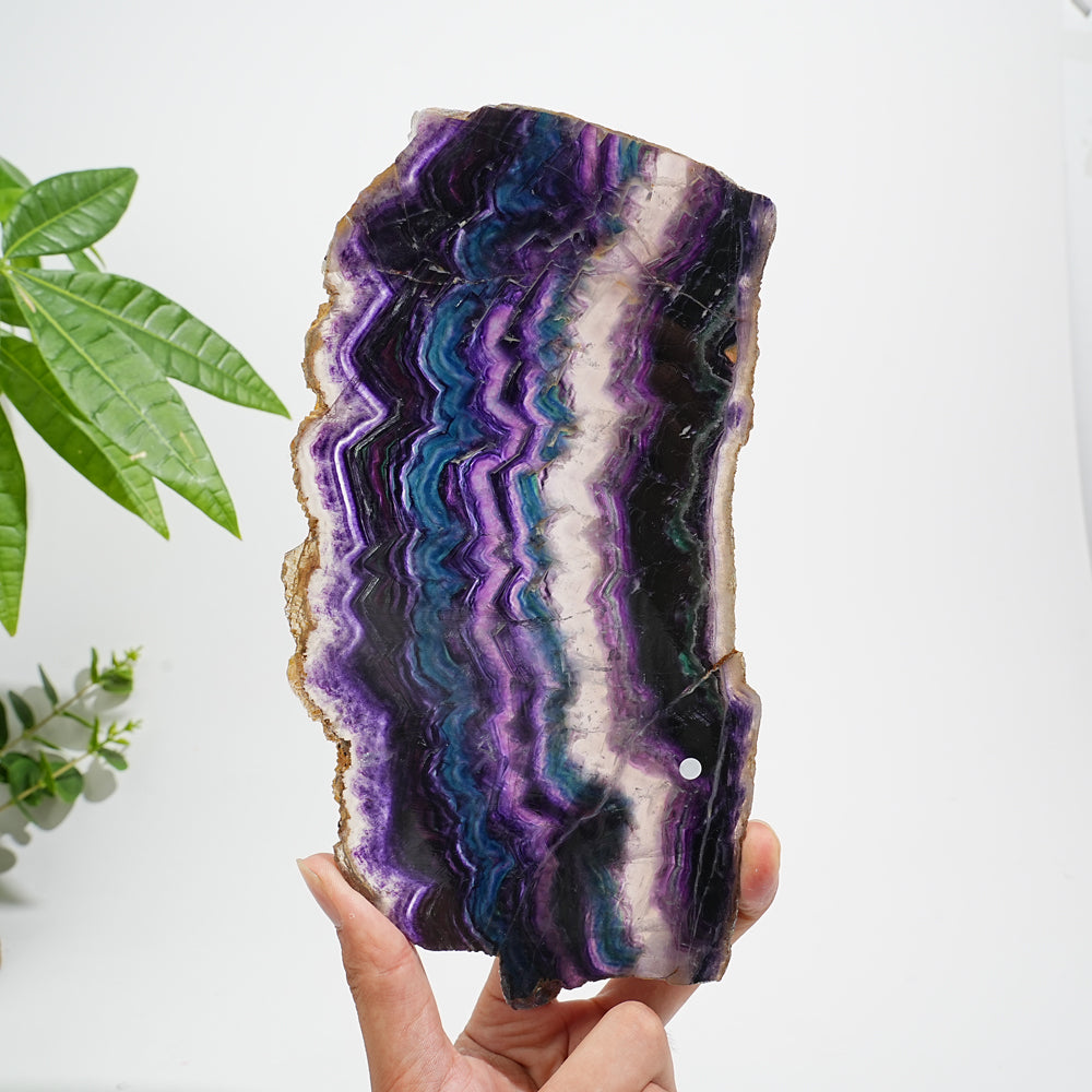 Unique,A Slightly Imperfect Natural Crystal Fluorite Slice