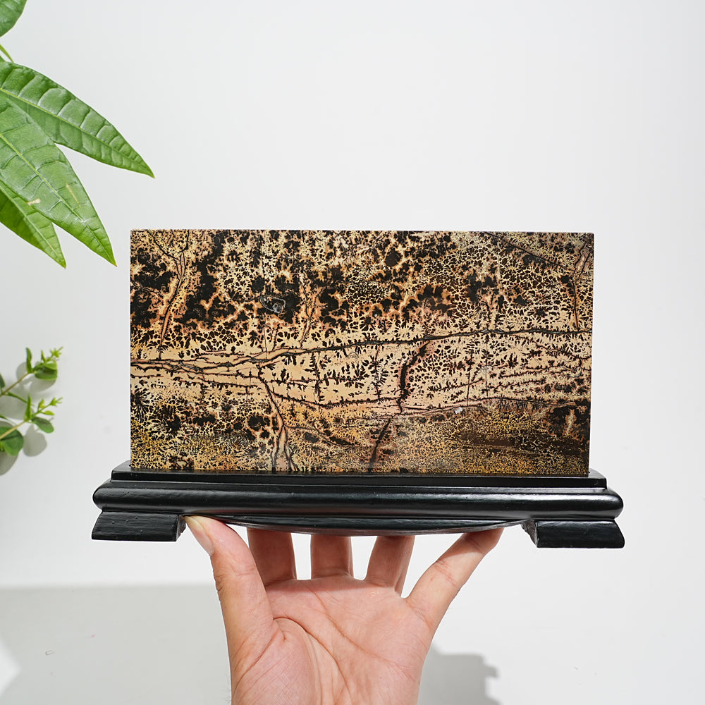 Unique,A Slightly Imperfect Natural Picture Jasper Landscape Ornament