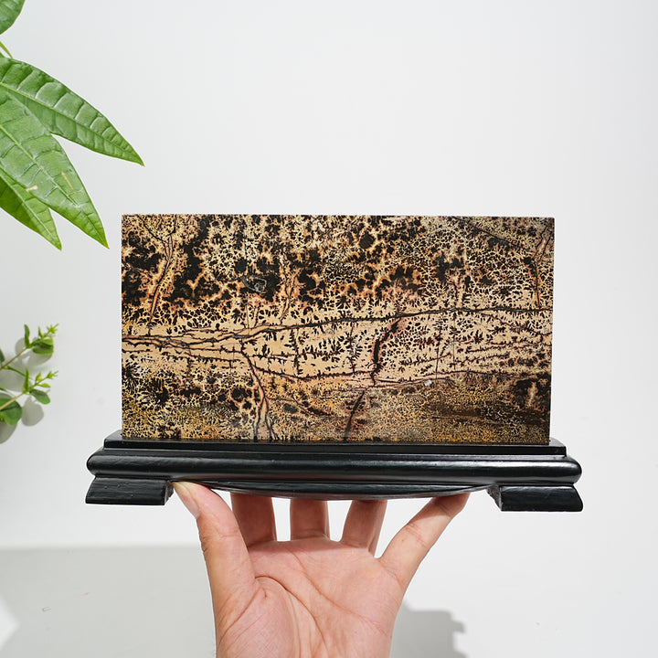 Unique,A Slightly Imperfect Natural Picture Jasper Landscape Ornament