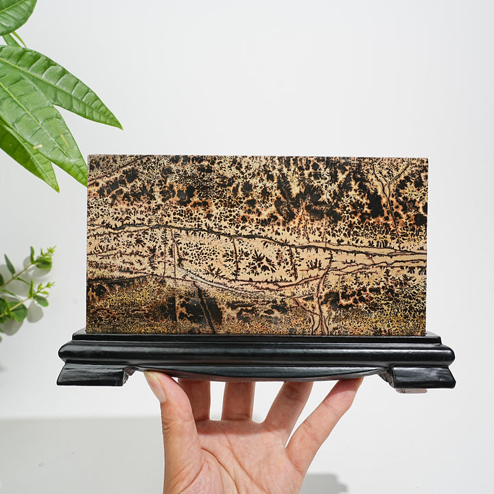 Unique,A Slightly Imperfect Natural Picture Jasper Landscape Ornament