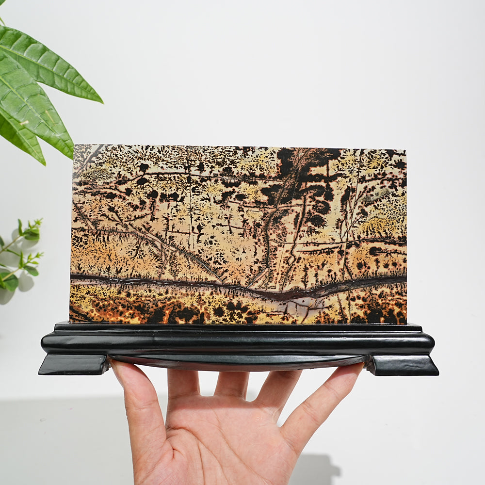 Unique,A Slightly Imperfect Natural Picture Jasper Landscape Ornament