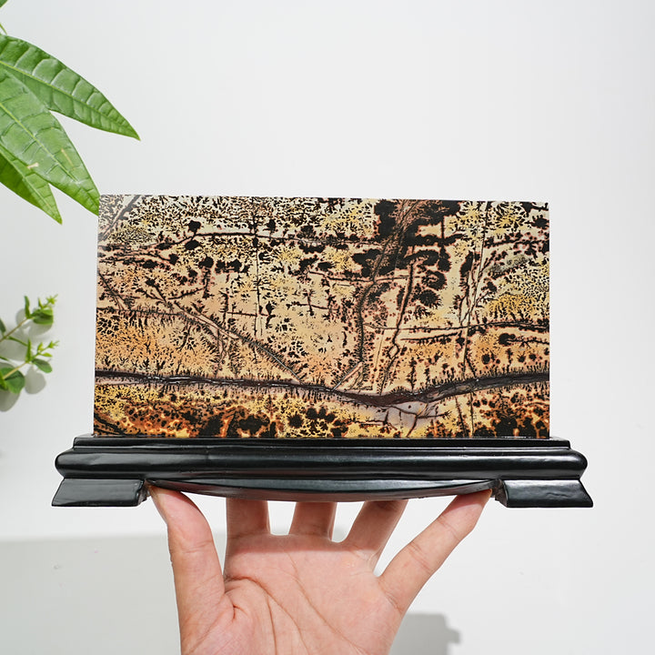Unique,A Slightly Imperfect Natural Picture Jasper Landscape Ornament