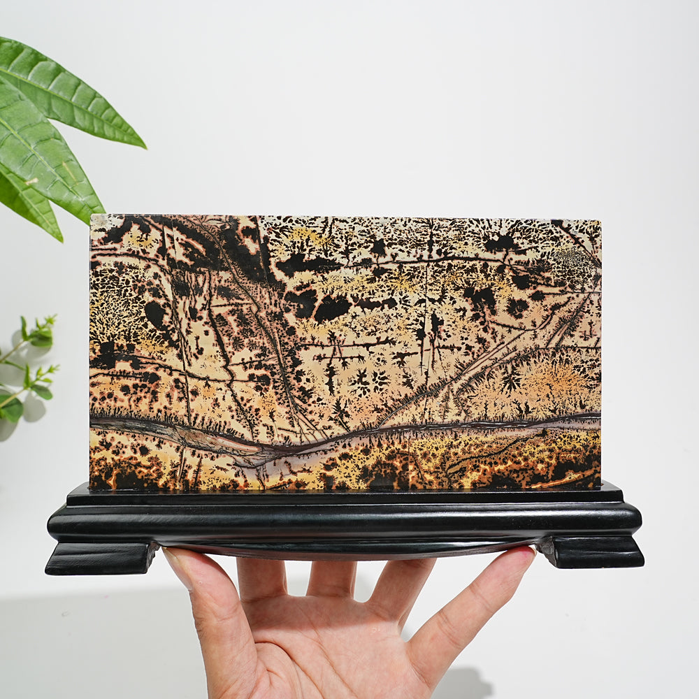 Unique,A Slightly Imperfect Natural Picture Jasper Landscape Ornament