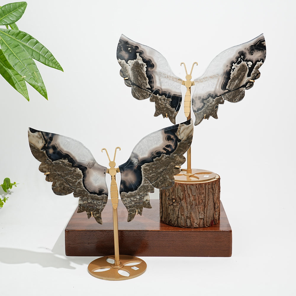Unique,Natural Crystal Volcanic Agate Butterfly Wing With Stand