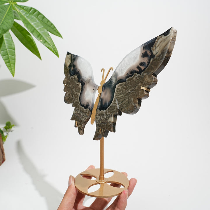 Unique,Natural Crystal Volcanic Agate Butterfly Wing With Stand