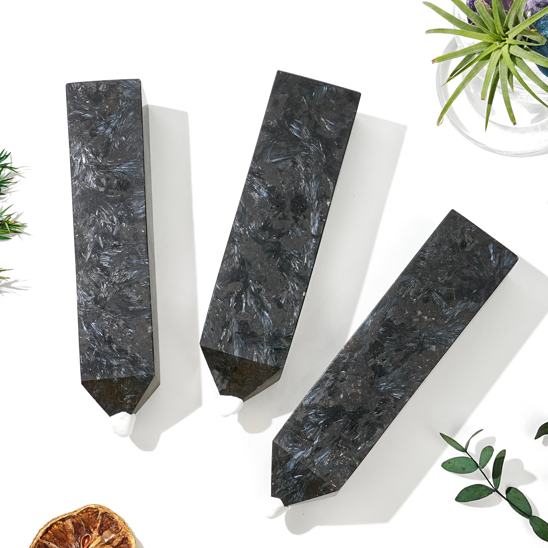 Natural Arfvedsonite with Garnet Stone Point