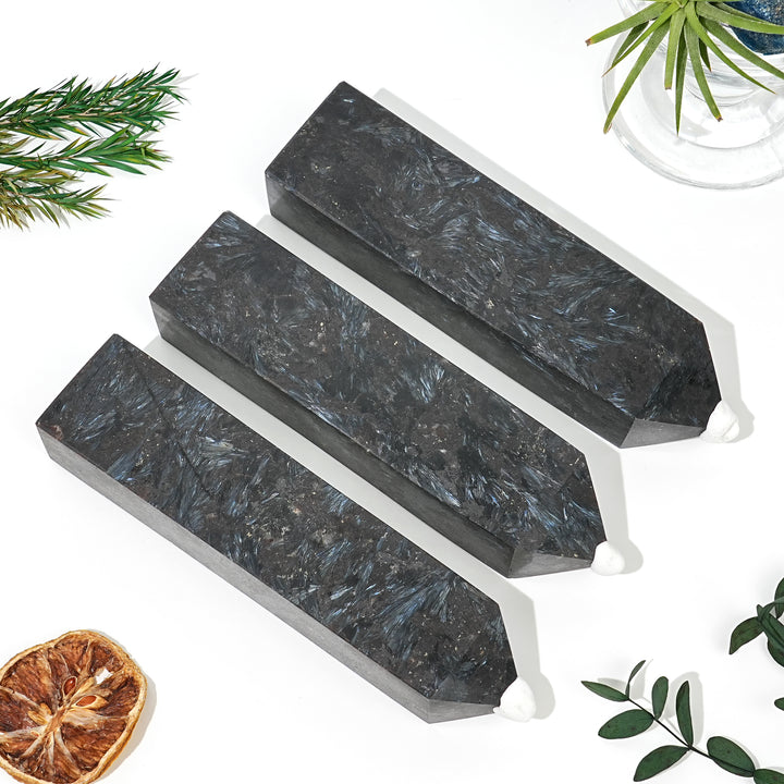 Natural Arfvedsonite with Garnet Stone Point