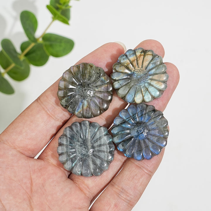 Natural Crystal Carving Labradorite Daisy