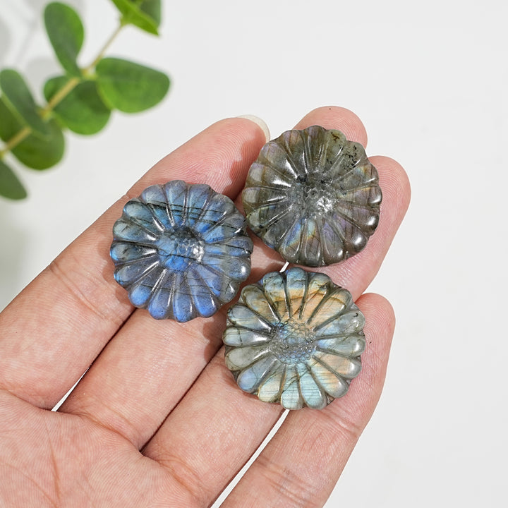 Natural Crystal Carving Labradorite Daisy