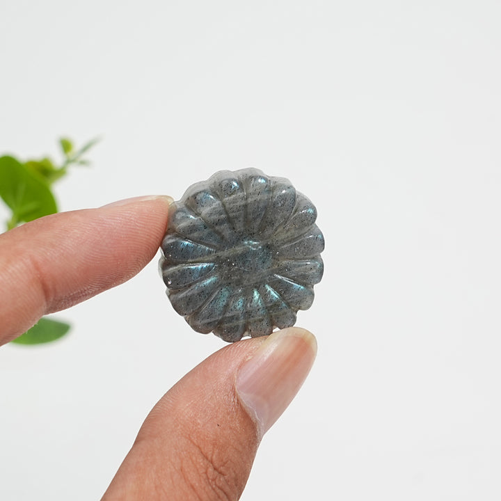 Natural Crystal Carving Labradorite Daisy