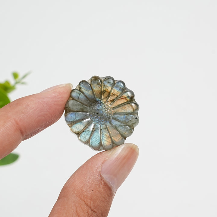 Natural Crystal Carving Labradorite Daisy