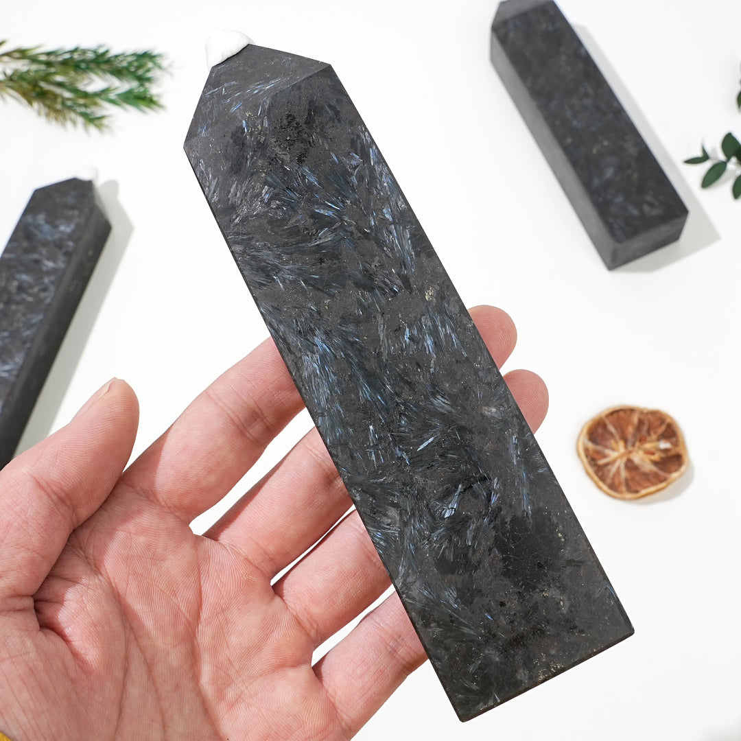 Natural Arfvedsonite with Garnet Stone Point