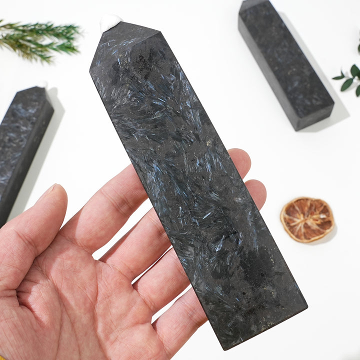 Natural Arfvedsonite with Garnet Stone Point