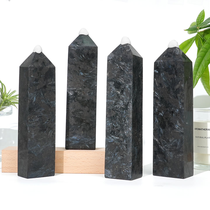 Natural Arfvedsonite with Garnet Stone Point