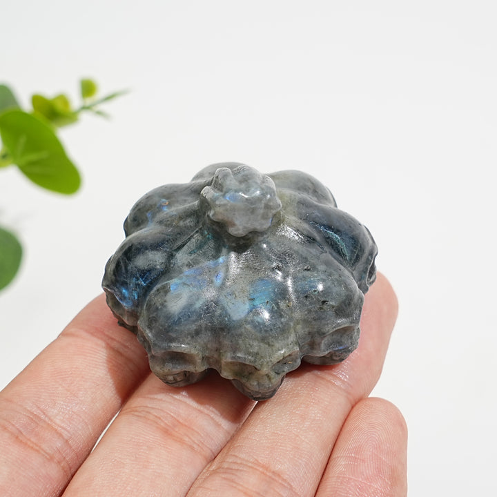 A Slightly Imperfect Natural Crystal Carving Labradorite Pumpkin Skull