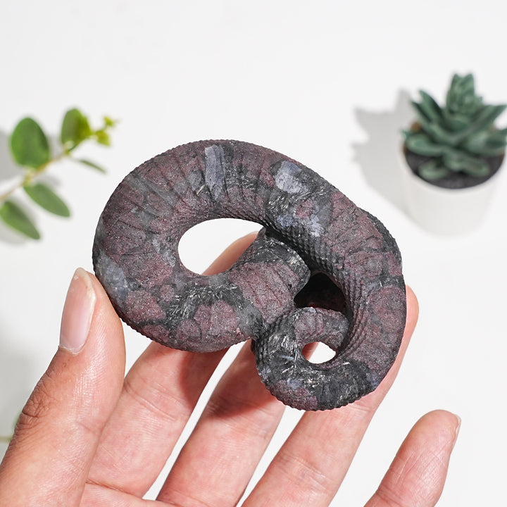 Natural Garnet With Arfvedsonite Carved Snake