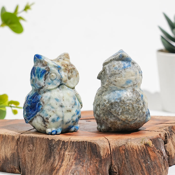 Natural Green And Blue Sodalite With Pyrite Owl