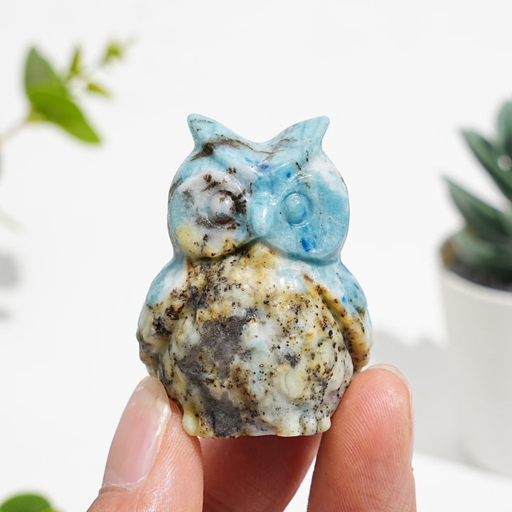 Natural Green And Blue Sodalite With Pyrite Owl