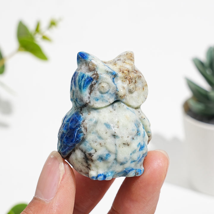 Natural Green And Blue Sodalite With Pyrite Owl