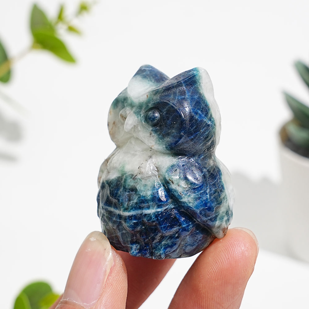 Natural Green And Blue Sodalite With Pyrite Owl
