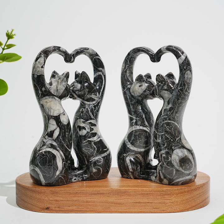 Natural Crystal Carving Shell Fossil Loving Couple Cats